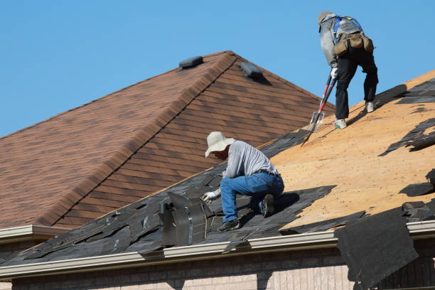 Best Rubber Roofing (EPDM, TPO)  in Prospect Heights, IL