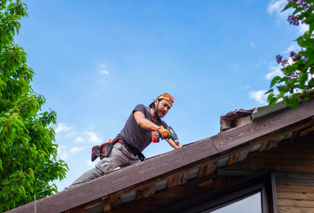 Best Roof Coating and Sealing  in Prospect Heights, IL